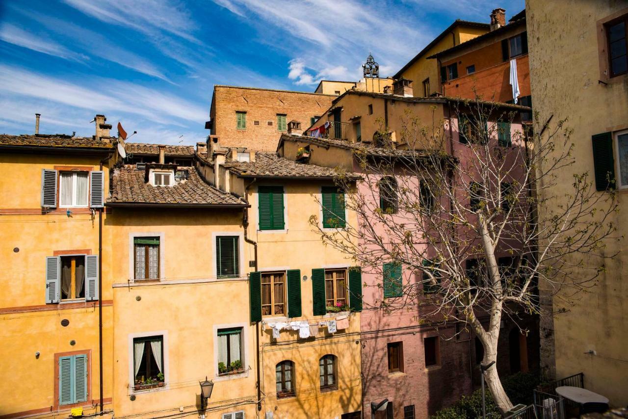 Apartment Cozy In The Heart Of Siena